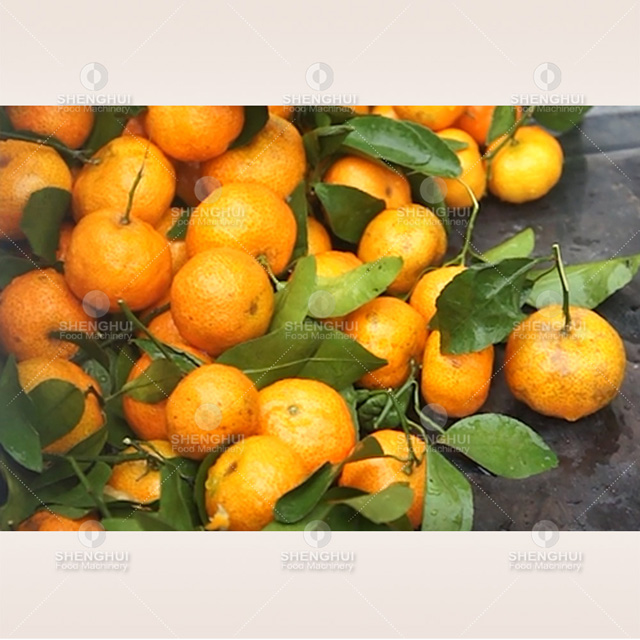 Entièrement automatique ozone lave - vaisselle Bubble fruit Cleaner mangue fruit de la passion machine de nettoyage de laitue
