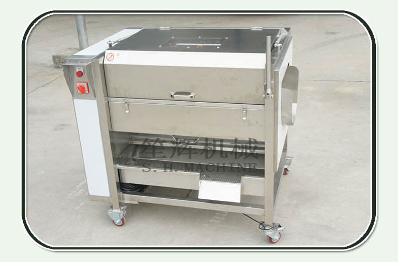 Où Utiliser La Machine à éplucher L'ail - Machine à Nourriture Shenghui