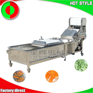 Machine de nettoyage à bulles à chaîne complète commerciale machine de nettoyage des fruits machine de nettoyage des légumes