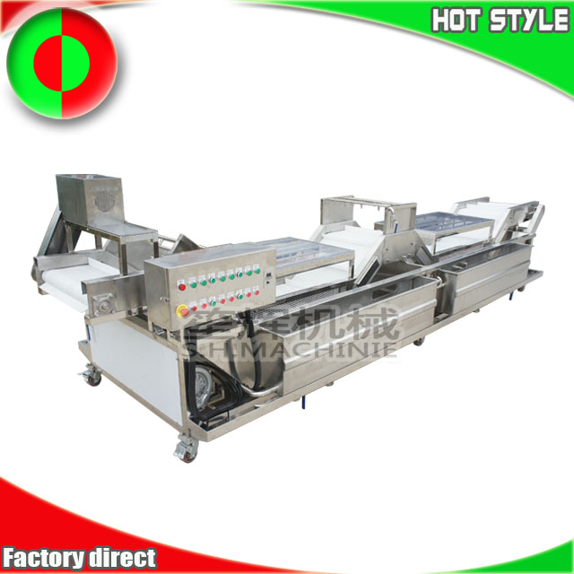Laveur automatique de fruits et légumes